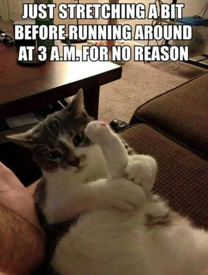 JUST STRETCHING A BIT BEFORE RUNNING AROUND AT 3 A.M. FOR NO REASON