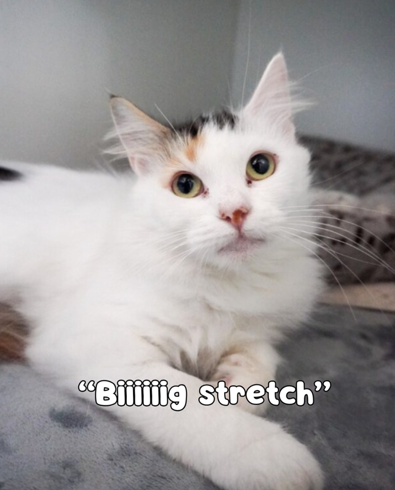 "Biiiiiig stretch"