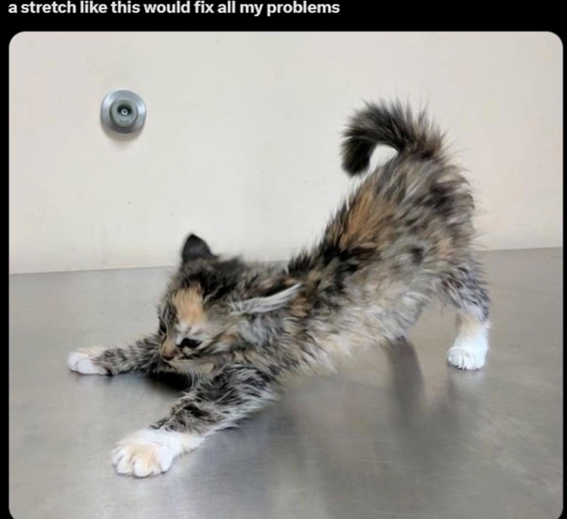 a stretch like this would fix all my problems