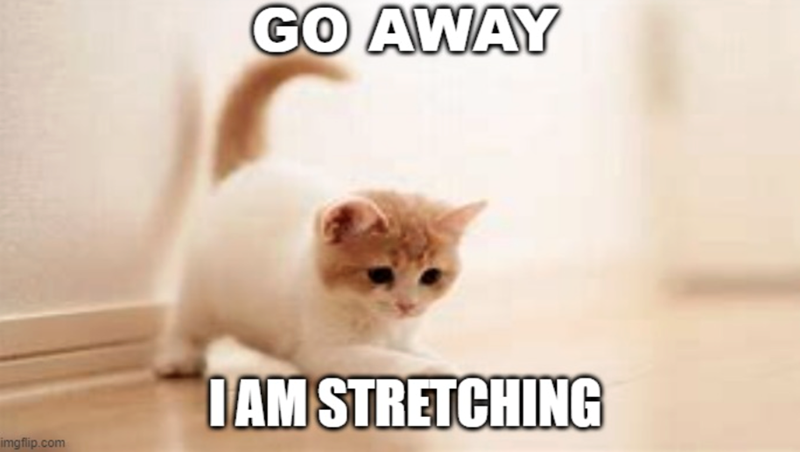 imgflip.com GO AWAY I AM STRETCHING
