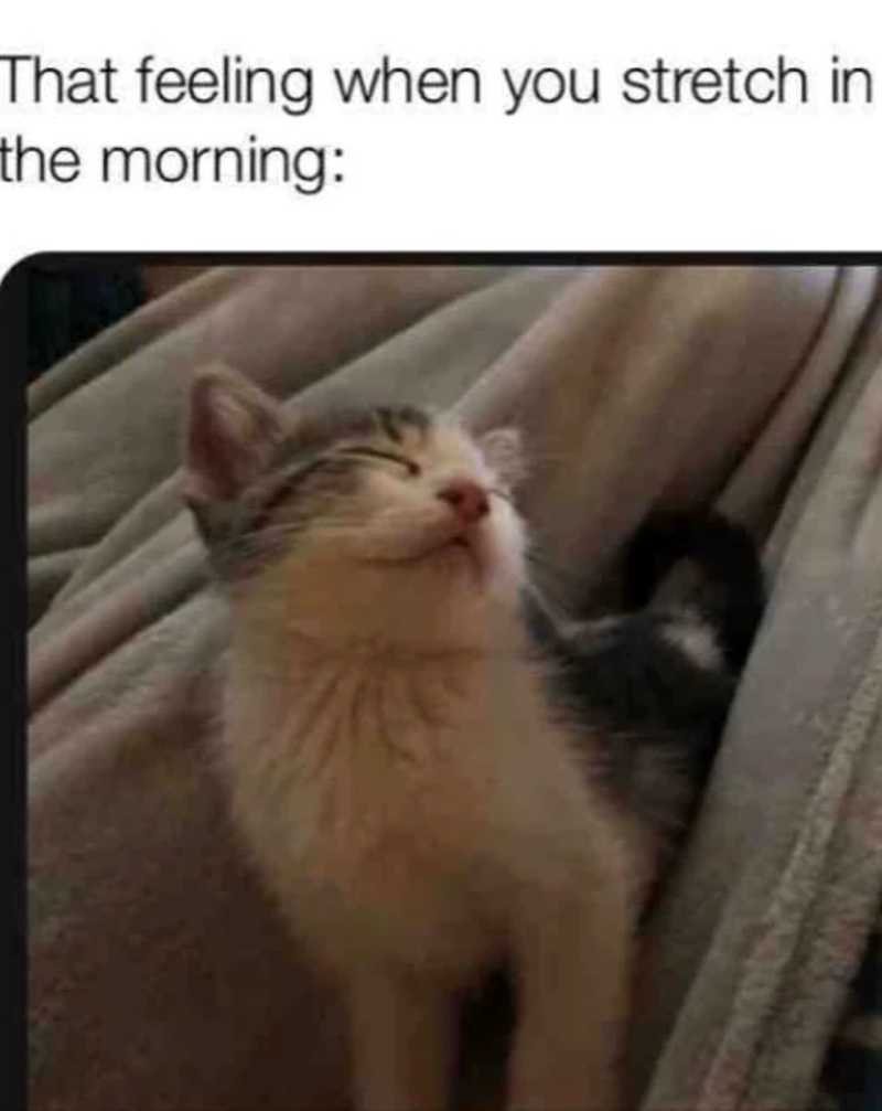 That feeling when you stretch in the morning:
