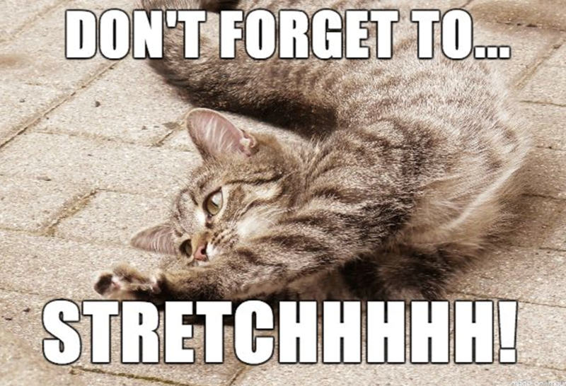 DON'T FORGET TO... STRETCHHHHH!