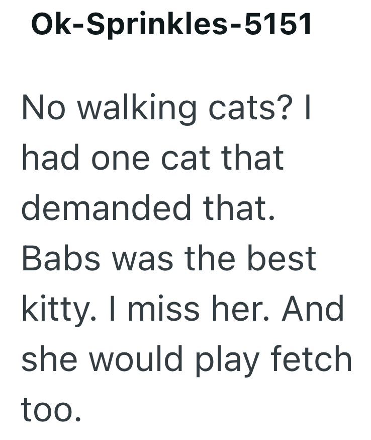 Ok-Sprinkles-5151 No walking cats? | had one cat that demanded that. Babs was the best kitty. I miss her. And she would play fetch too.