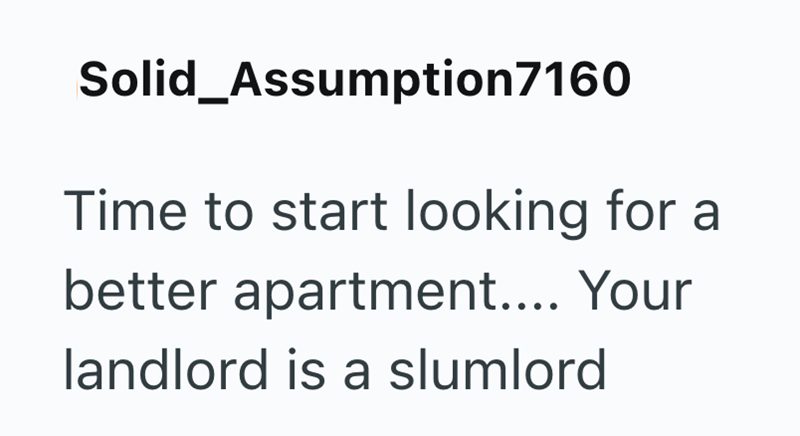 Solid_Assumption7160 Time to start looking for a better apartment.... Your landlord is a slumlord