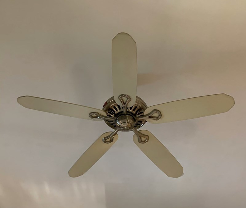 A picture of a ceiling fan, which the tenant in this story graciously offered to repaint, despite the general negligence of her landlord. 