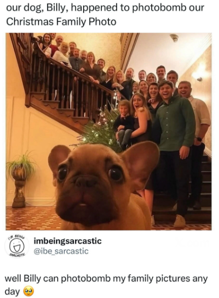 our dog, Billy, happened to photobomb our Christmas Family Photo imbeingsarcastic @ibe_sarcastic well Billy can photobomb my family pictures any day G