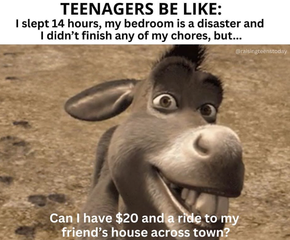 TEENAGERS BE LIKE: I slept 14 hours, my bedroom is a disaster and I didn't finish any of my chores, but... @raisingteenstoday Can I have $20 and a ride to my friend's house across town?