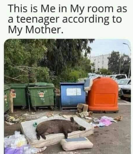 This is Me in My room as a teenager according to My Mother.