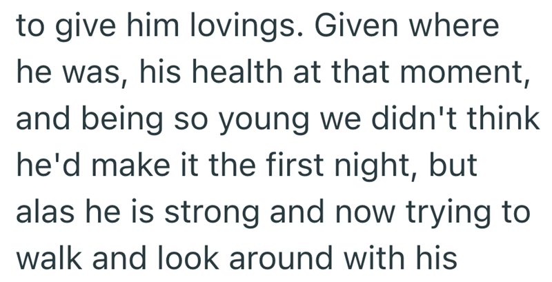 to give him lovings. Given where he was, his health at that moment, and being so young we didn't think he'd make it the first night, but alas he is strong and now trying to walk and look around with his