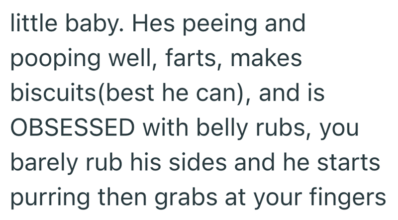 little baby. Hes peeing and pooping well, farts, makes biscuits (best he can), and is OBSESSED with belly rubs, you barely rub his sides and he starts purring then grabs at your fingers