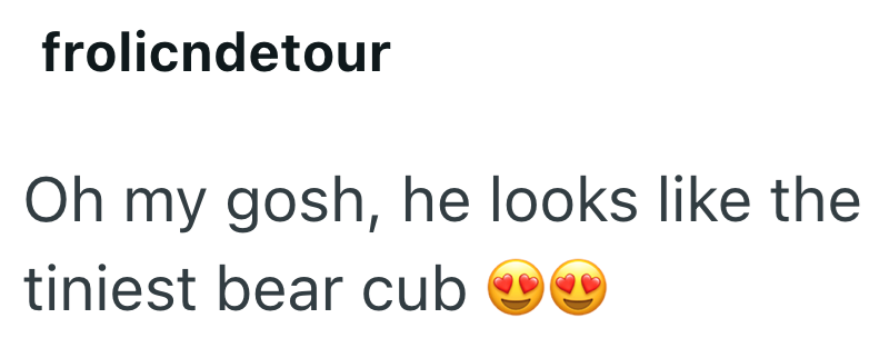frolicndetour Oh my gosh, he looks like the tiniest bear cub