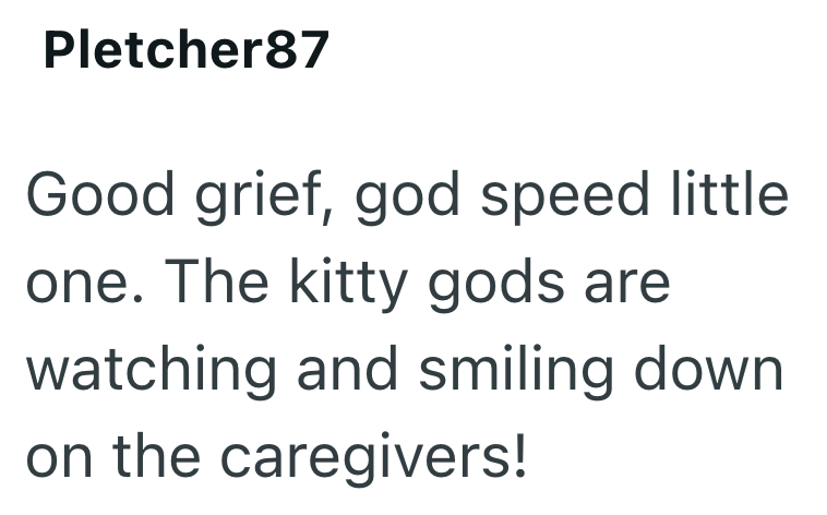 Pletcher87 Good grief, god speed little one. The kitty gods are watching and smiling down on the caregivers!