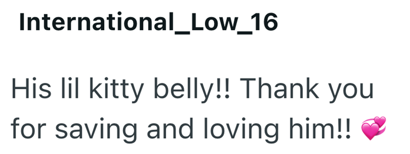 International_Low_16 His lil kitty belly!! Thank you for saving and loving him!!