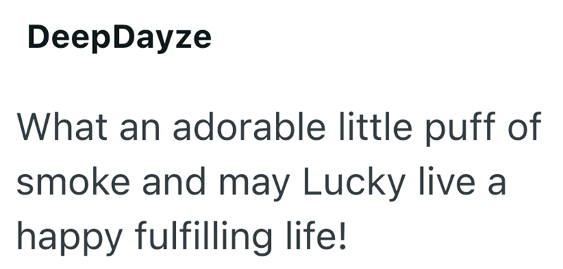 DeepDayze What an adorable little puff of smoke and may Lucky live a happy fulfilling life!