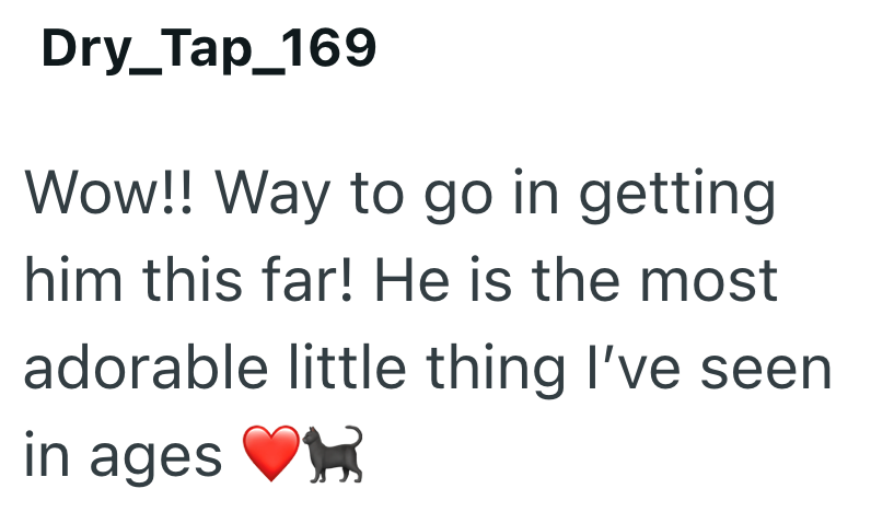 Dry_Tap_169 Wow!! Way to go in getting him this far! He is the most adorable little thing I've seen in ages