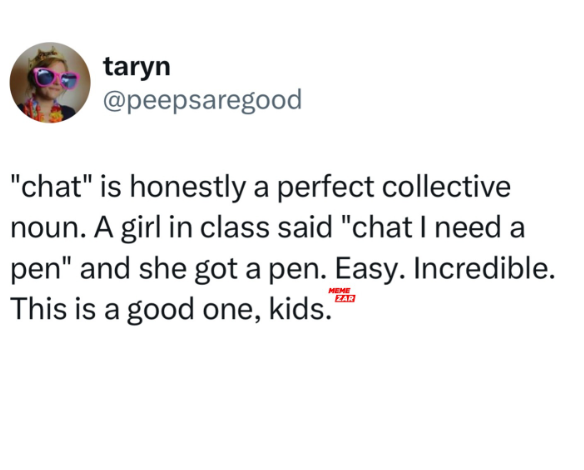taryn @peepsaregood "chat" is honestly a perfect collective noun. A girl in class said "chat I need a pen" and she got a pen. Easy. Incredible. MEME This is a good one, kids." ZAR