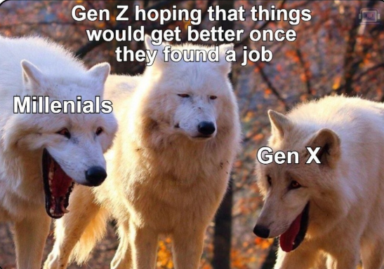 Gen Z hoping that things would get better once they found a job Millenials Gen X