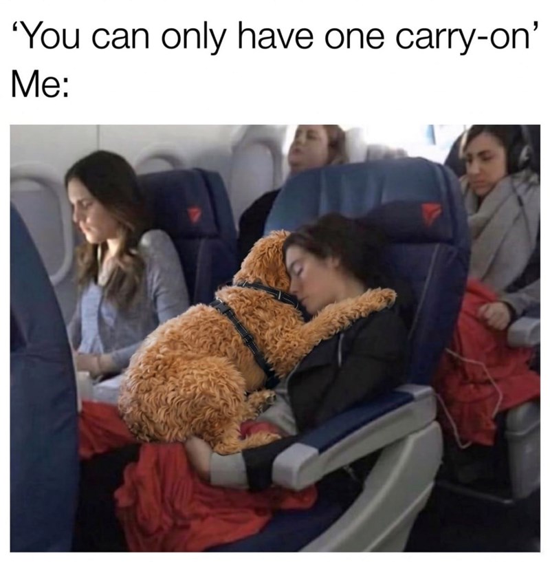 'You can only have one carry-on' Me: