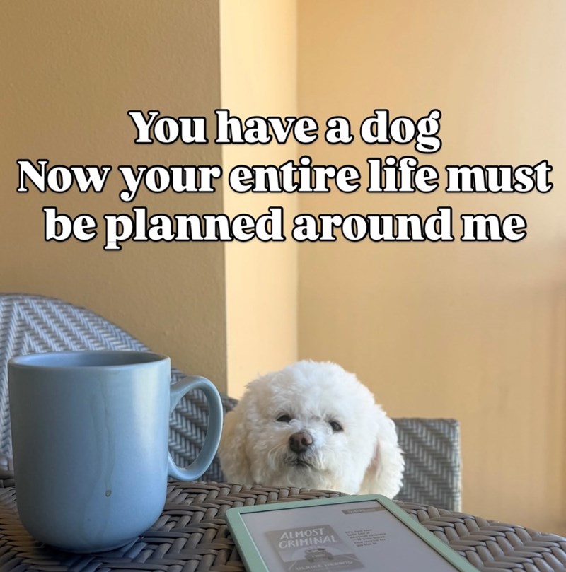 You have a dog Now your entire life must be planned around me ALMOST CRIMINAL ULRIKE HERWIG