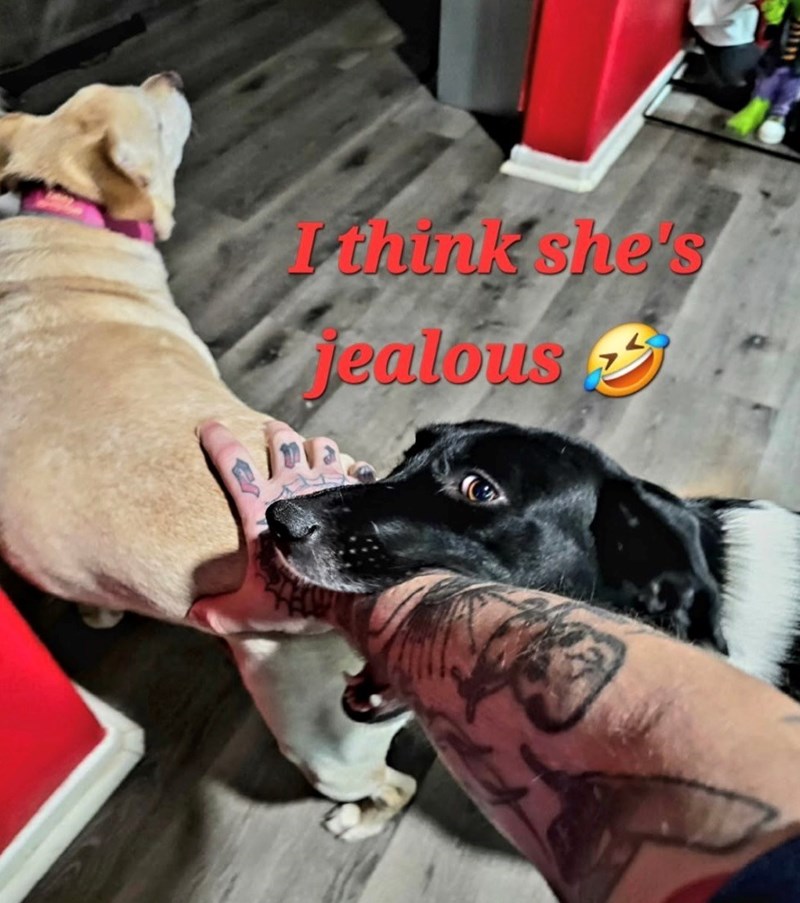 I think she's Jealous