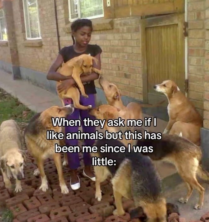When they ask me if I like animals but this has been me since I was little: