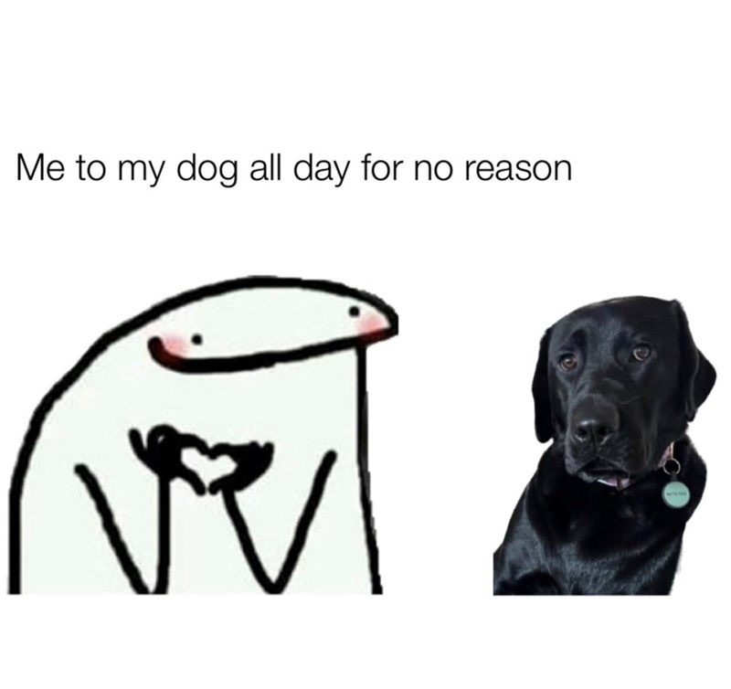 Me to my dog all day for no reason