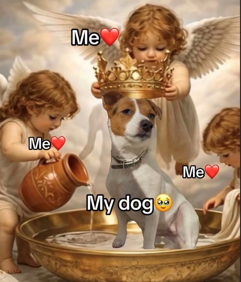 Me Me My dog Me