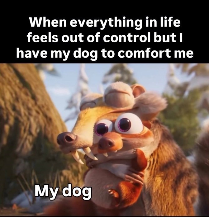 When everything in life feels out of control but I have my dog to comfort me My dog