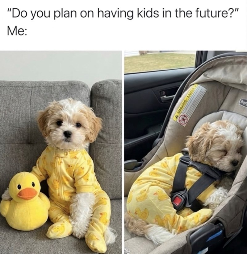 "Do you plan on having kids in the future?" Me: WAQUING AUG Bes