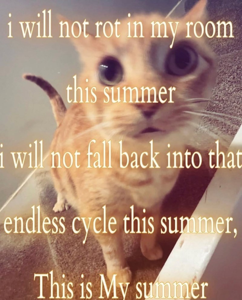 i will not rot in my room this summer i will not fall back into that endless cycle this summer, This is My summer