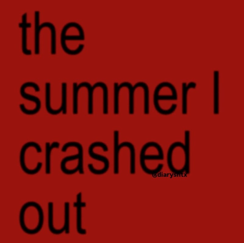 the summer I crashed out diarysntx