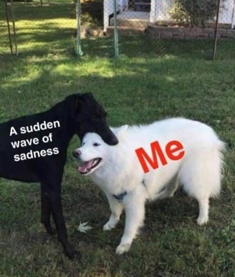 A sudden wave of sadness Me
