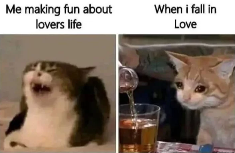 Me making fun about lovers life When i fall in Love