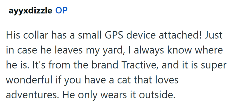 ayyxdizzle OP His collar has a small GPS device attached! Just in case he leaves my yard, I always know where he is. It's from the brand Tractive, and it is super wonderful if you have a cat that loves adventures. He only wears it outside.
