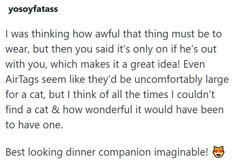 yosoyfatass I was thinking how awful that thing must be to wear, but then you said it's only on if he's out with you, which makes it a great idea! Even AirTags seem like they'd be uncomfortably large for a cat, but I think of all the times I couldn't find a cat & how wonderful it would have been to have one. Best looking dinner companion imaginable!