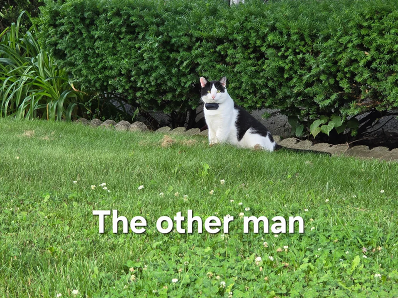 The other man