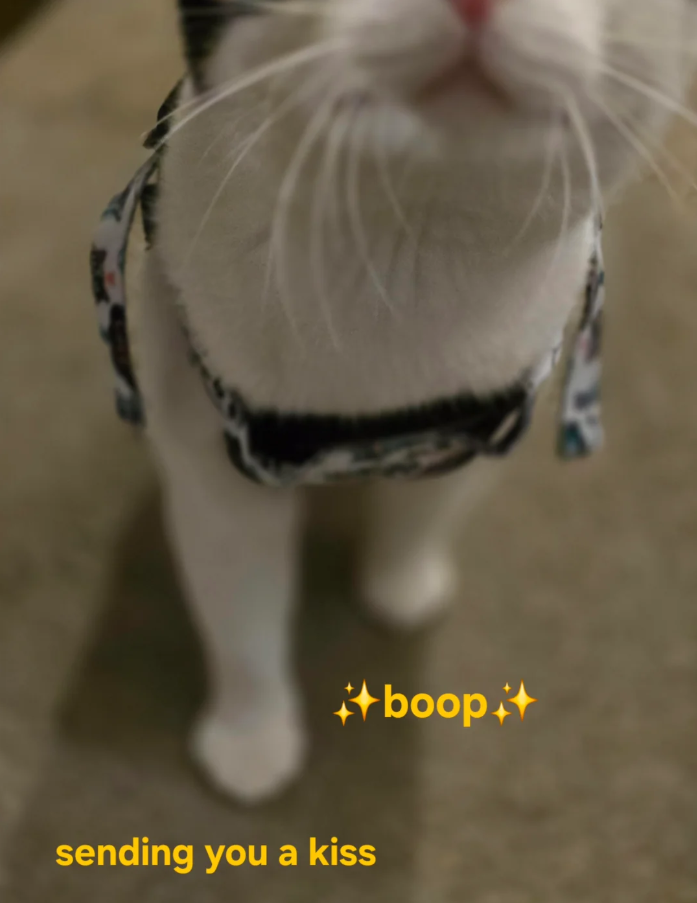sending you a kiss boop