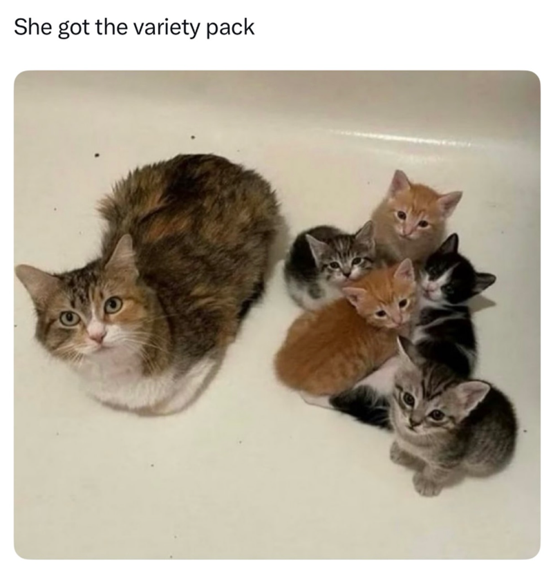 She got the variety pack