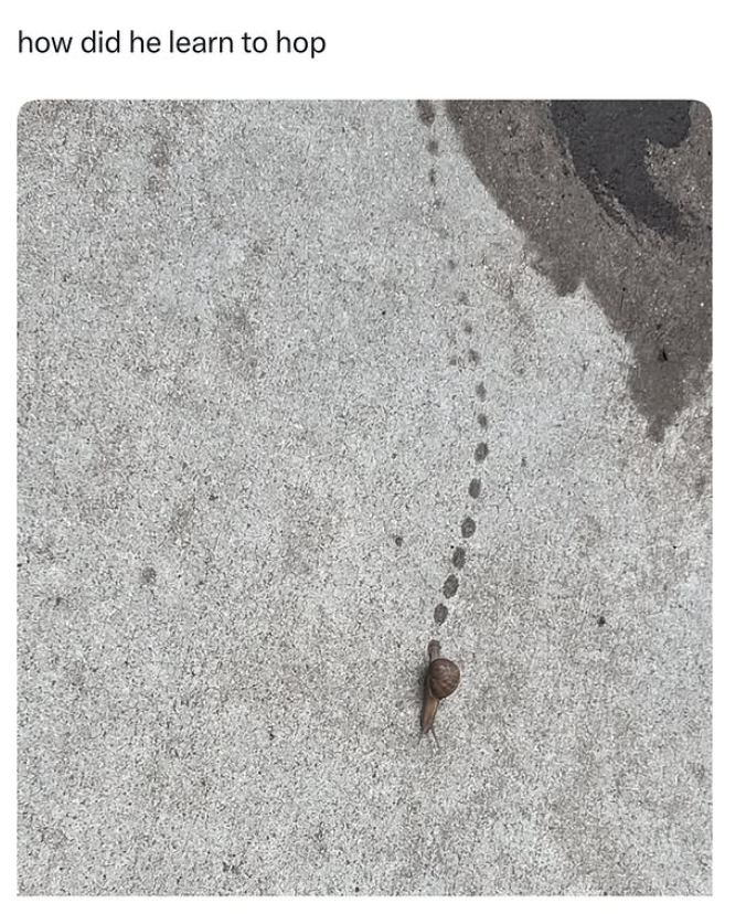 how did he learn to hop