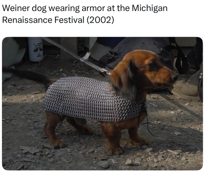 Weiner dog wearing armor at the Michigan Renaissance Festival (2002) GY WARN HOUND PET WATER