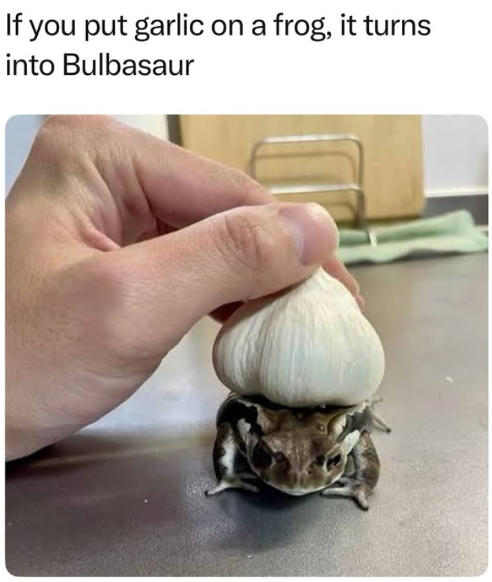 If you put garlic on a frog, it turns into Bulbasaur