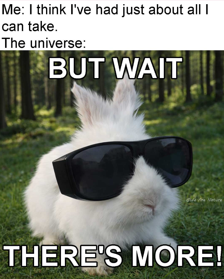Me: I think I've had just about all I can take. The universe: BUT WAIT @We Are Nature THERE'S MORE!