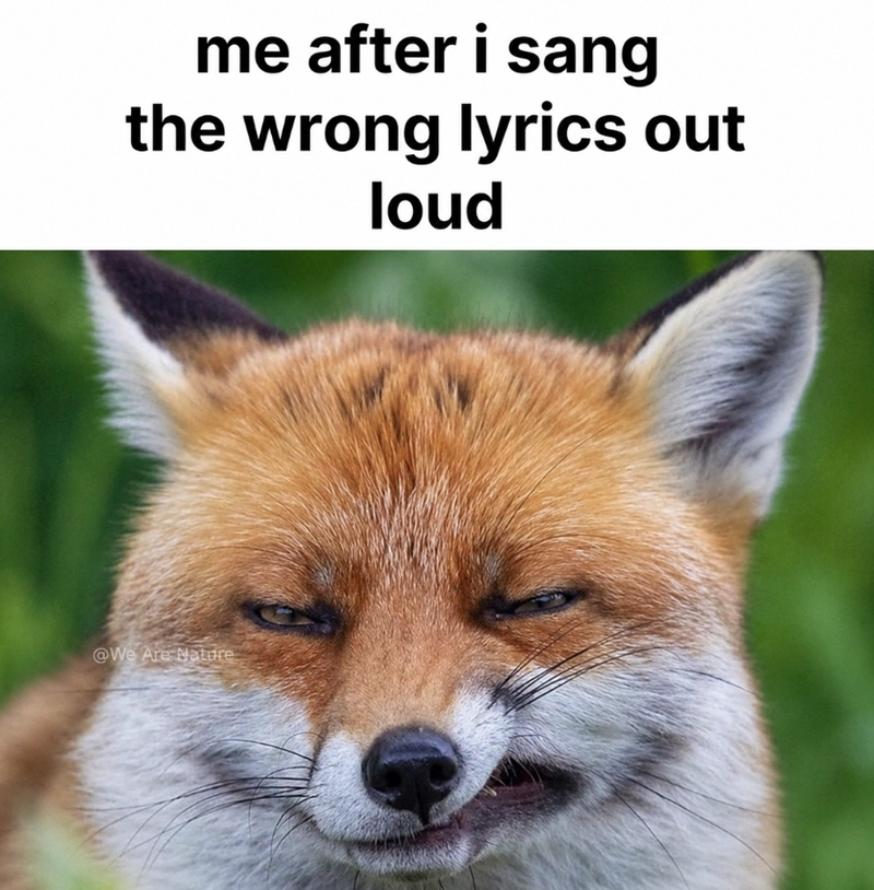 me after i sang the wrong lyrics out loud @We Are Nature