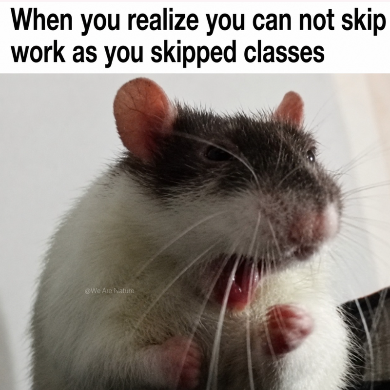 When you realize you can not skip work as you skipped classes @We Are Nature