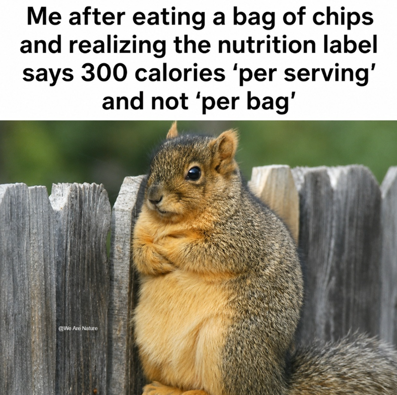 Me after eating a bag of chips and realizing the nutrition label says 300 calories 'per serving' and not 'per bag' @We Are Nature