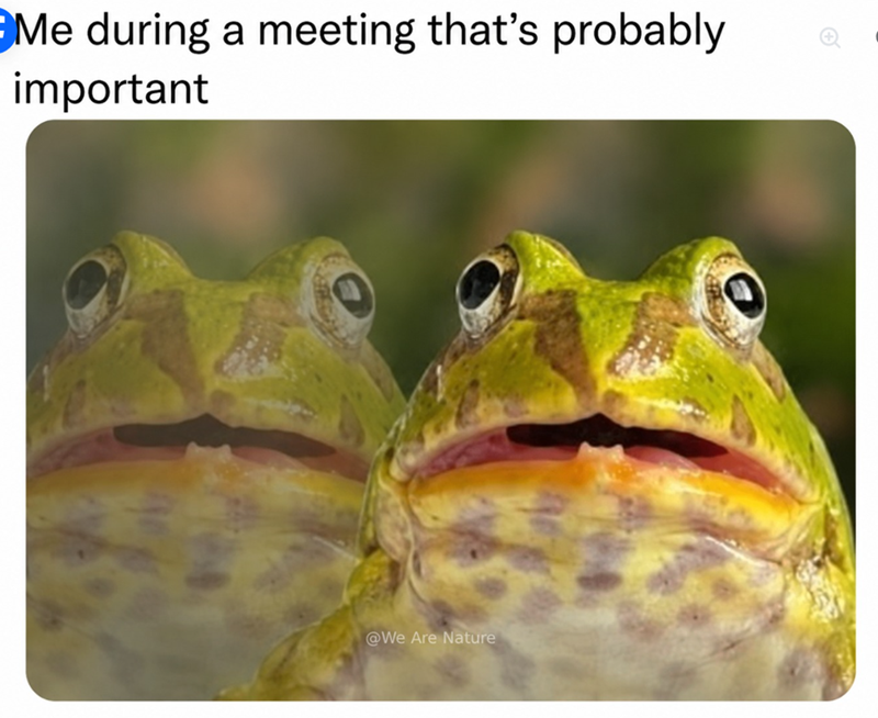 Me during a meeting that's probably important @We Are Nature
