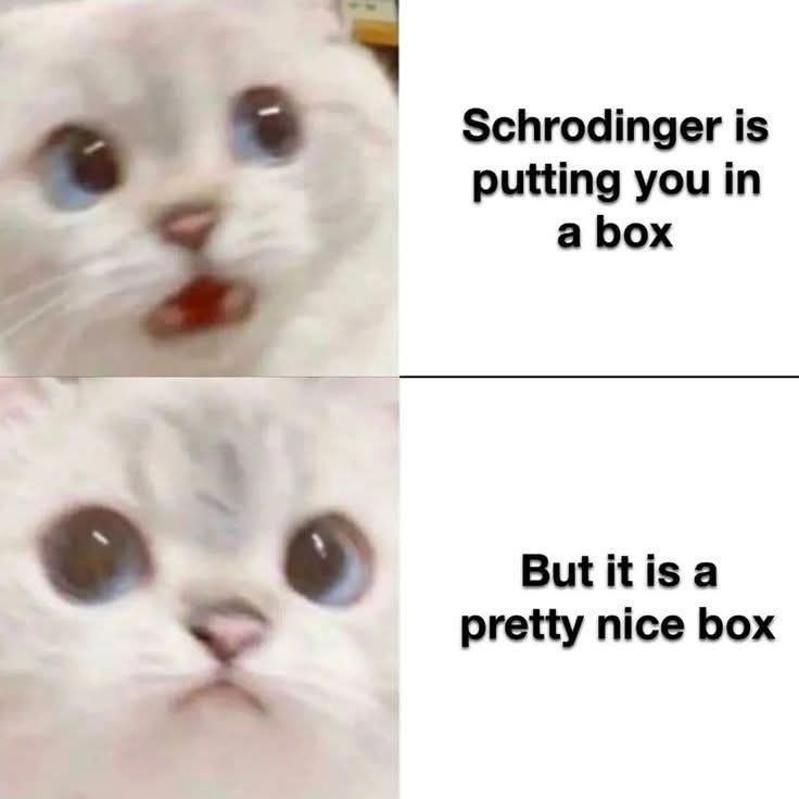Schrodinger is putting you in a box But it is a pretty nice box
