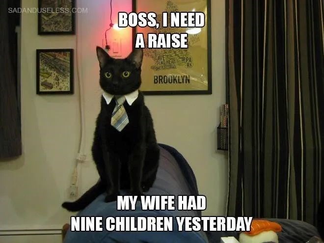SADANDUSELESS.COM BOSS, I NEED A RAISE AVEC SEND HEADPA RK BROOKLYN MY WIFE HAD NINE CHILDREN YESTERDAY