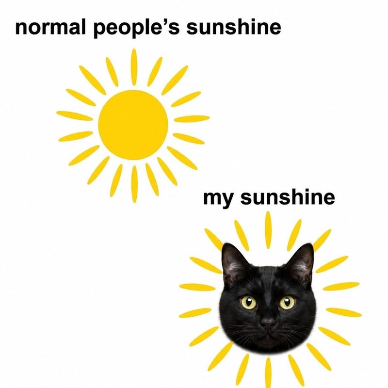 normal people's sunshine my sunshine