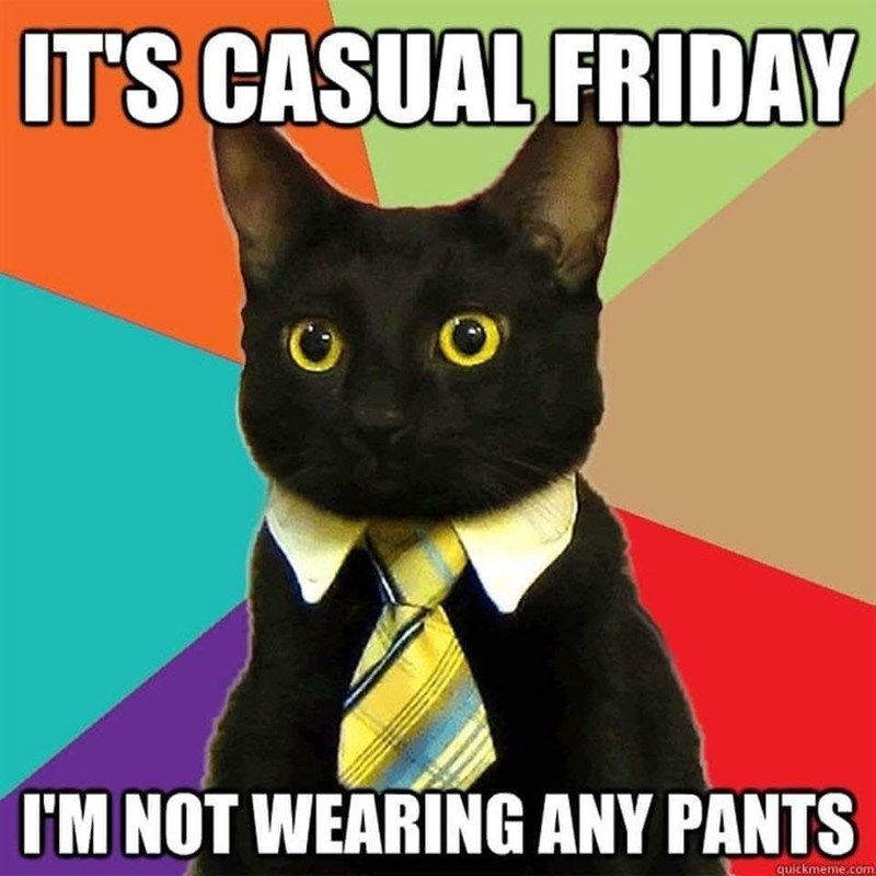 IT'S CASUAL FRIDAY I'M NOT WEARING ANY PANTS quickmeme.com